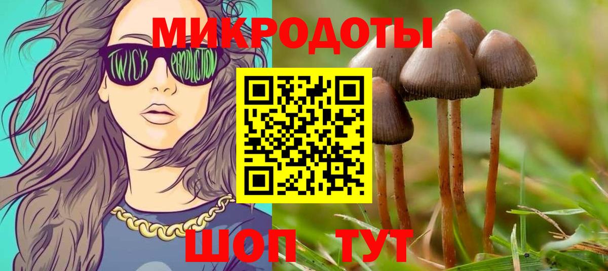 Галлюциногенные грибы мицелий Малгобек