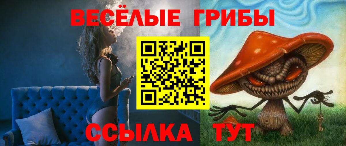 Галлюциногенные грибы Cubensis  наркота  Вход с VPN  Малгобек  Галлюциногенные грибы GOLDEN TEACHER 
